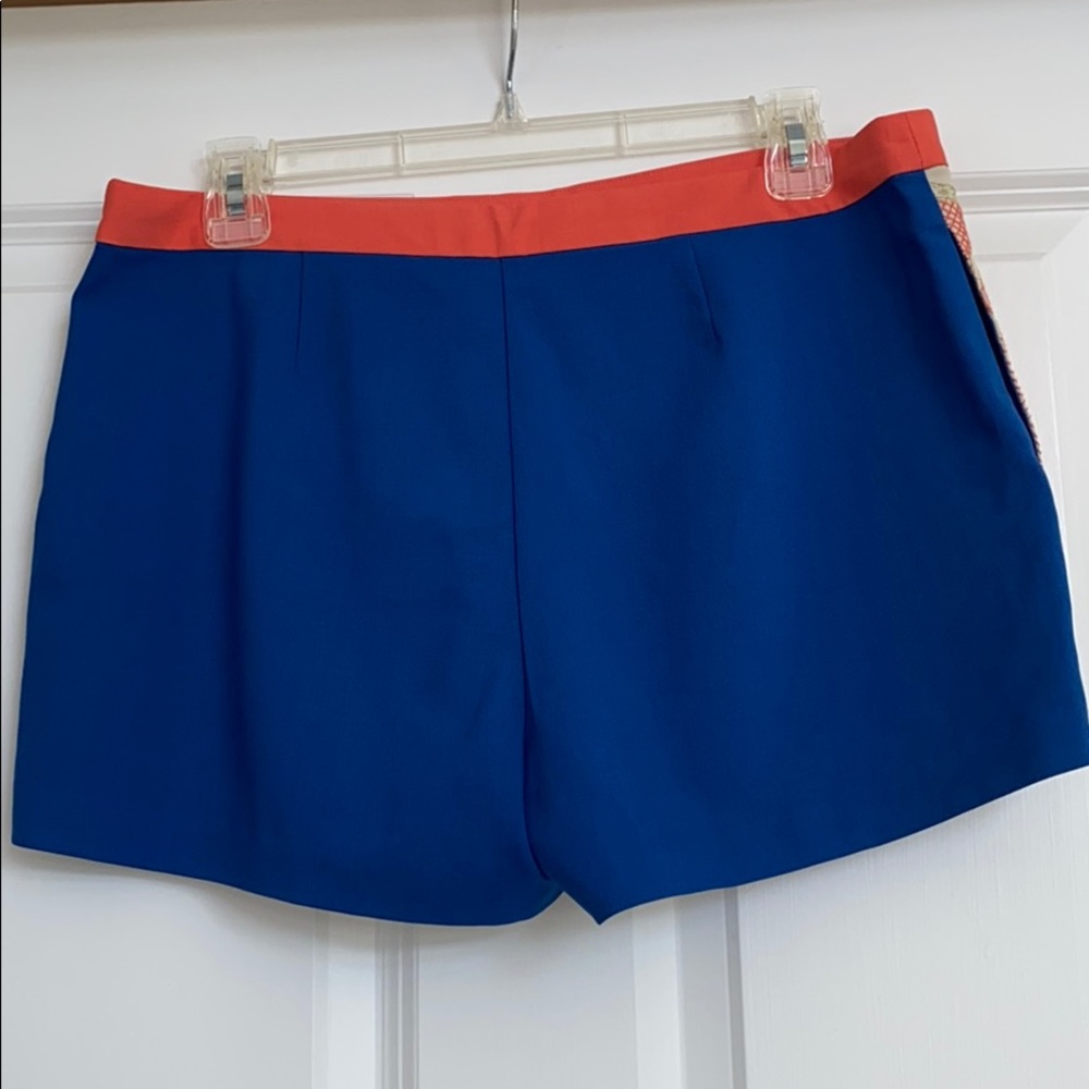 Embroidered Shorts - Picture 3 of 4
